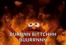Elmo Burn Bitch GIF - Elmo Burn Bitch Burn GIFs
