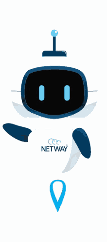 netway telecom