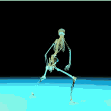 Skeleton Dance GIF - Skeleton Dance Skeleton GIFs