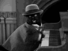 Cats Piano GIF - Cats Piano GIFs