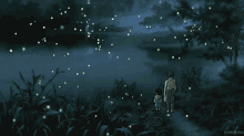Watching The Fireflies GIF - Miyazaki Fireflies Anime GIFs