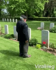 salute respect veteran visit cemetery