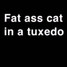 Fat Cat Tuxedo GIF - Fat Cat Tuxedo Fancy GIFs