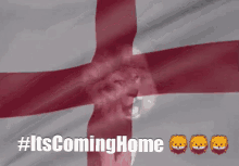 England Its Coming Home GIF - England Its Coming Home Lion GIFs