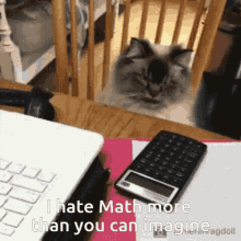 I Hate Math Math Sucks GIF - I Hate Math Math Sucks Math GIFs