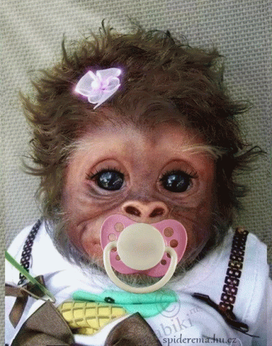 Baby Monkey GIFs | Tenor