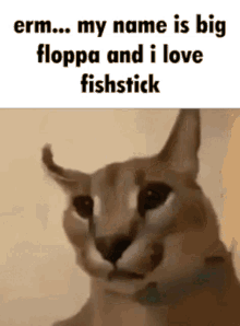 Big Floppa I Love Fishstick GIF - Big Floppa Floppa I Love Fishstick GIFs