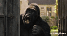 Gorilla Dolittle GIF - Gorilla Dolittle Screaming GIFs