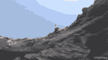 Cliff Diving Break Off GIF - Cliff Diving Break Off Fall Off GIFs