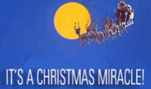 Christmas Miracle GIF - Christmas Miracle GIFs