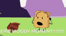 woody epic bfb bfdi moment