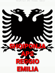 albanianeagle aquilaalbanese shqiponjashqiptare