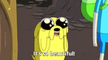 Jake Its So Beautiful GIF - Jake Its So Beautiful Adventure Time GIFs