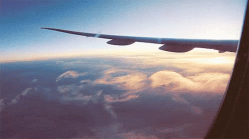 飛機 GIF - Plane Fly Clouds - Discover & Share GIFs