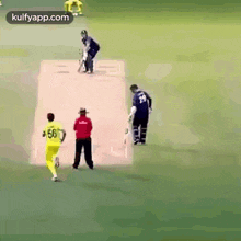 Mitchell Starc Sparkling Yorkers.Gif GIF - Mitchell Starc Sparkling Yorkers Starc Mitchell  Starc GIFs