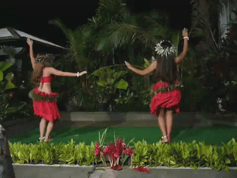 Polynesian Hips GIF - Polynesian Hips Cultural - Discover & Share GIFs.