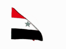 علمsyria Flag Of Syria GIF - علمsyria Flag Of Syria Animated Flag GIFs