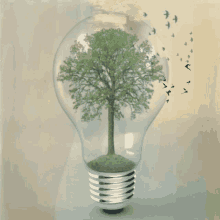 Global Warming Climate Change GIF - Global Warming Climate Change Trees GIFs