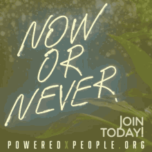 poweredxpeople powered by people pxp beto now or never