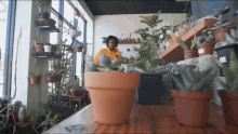 dancing pivot gang no vest song saba pivot dance moves