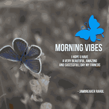 Morning Vives Jawbreaker Rahul GIF - Morning Vives Jawbreaker Rahul GIFs