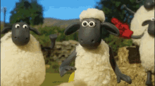 Shaun The Sheep Sweat GIF - Shaun The Sheep Sweat Phew GIFs