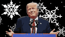 snowflake snowflake