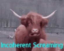 Cow Scream GIF - Cow Scream Markimoo GIFs