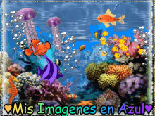 Acuario Peces GIF - Acuario Peces Mis Imagenes En Azul GIFs