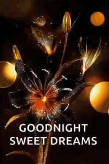 goodnight sparkles flowers sweet dreams lights goodnight sparkles flowers sweet dreams lights