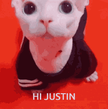 Hi Justin Hello GIF - Hi Justin Justin Hello GIFs
