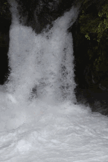 Mury Rotorua Rafting Water GIF - Mury Rotorua Rafting Water Falls GIFs