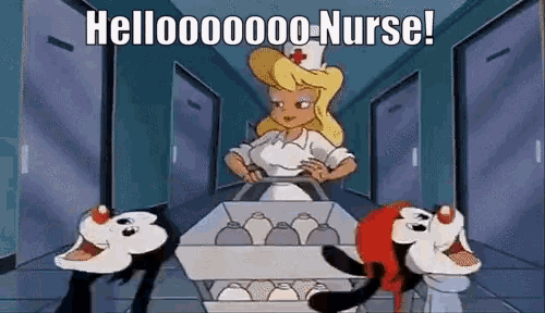 Hello Nurse Ani Maniacs GIF - Hello Nurse Ani Maniacs - Discover &amp; Share  GIFs