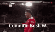 Common Bush W GIF - Common Bush W GIFs