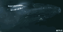 Whale Breathe Out GIF - Whale Breathe Out Water Splash GIFs