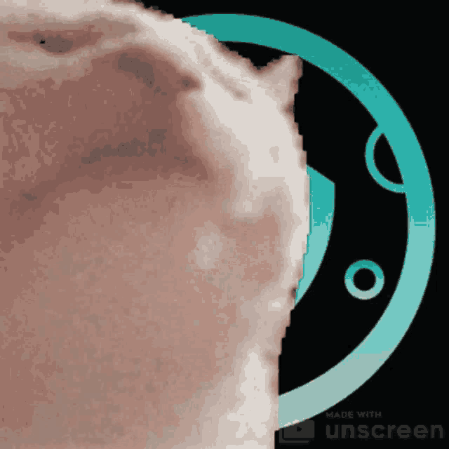 Safe Moon Cat GIF - Safe Moon Cat Vibe GIFs