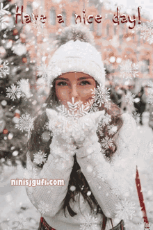Winter Snowflakes GIF - Winter Snowflakes Have A Nice Day GIFs