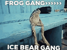 frog gang