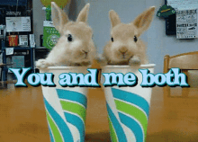 You And Me Both Funny Bunny GIF - You And Me Both Funny Bunny Cup Bunnies GIFs