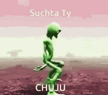 Suchta Chuj GIF - Suchta Chuj Suchta Chuj GIFs