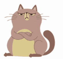 Cat Nervous GIF - Cat Nervous Duh GIFs