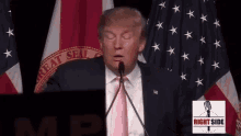 Donald Trump President GIF - Donald Trump President Debate GIFs