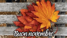 Novembre Buon Novembre Pioggia Zucca Autunno Foglie Secche GIF - November Happy Nivember Rain GIFs