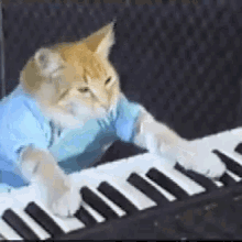 Keyboard Cat GIF - Keyboard Cat Musician GIFs