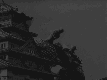 godzilla anguirus godzilla raids again godzilla1955 kotm