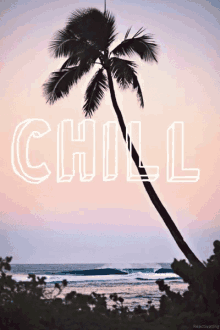 Chill Sleep GIF - Chill Sleep Sea GIFs