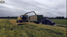 havestor forage