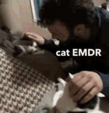 Cat Emdr GIF - Cat Emdr GIFs