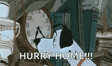 pongo hurry