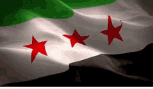 Syria Freedom GIF - Syria Freedom Revolution GIFs